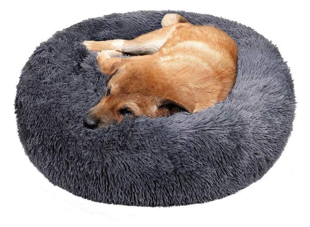 Cama Donut con perro