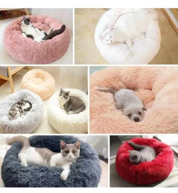 Cama Donut interior
