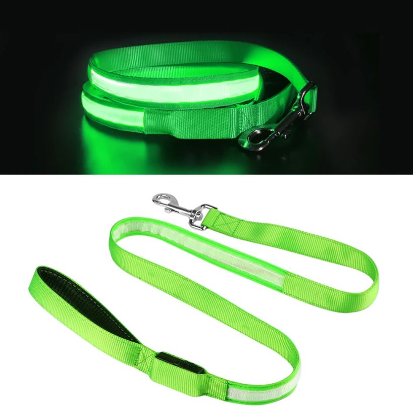 Correa LED carga USB