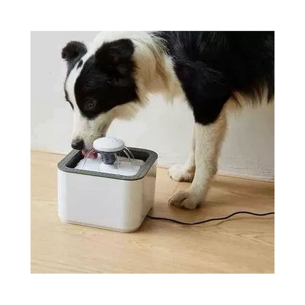 Fuente de agua automática para gatos